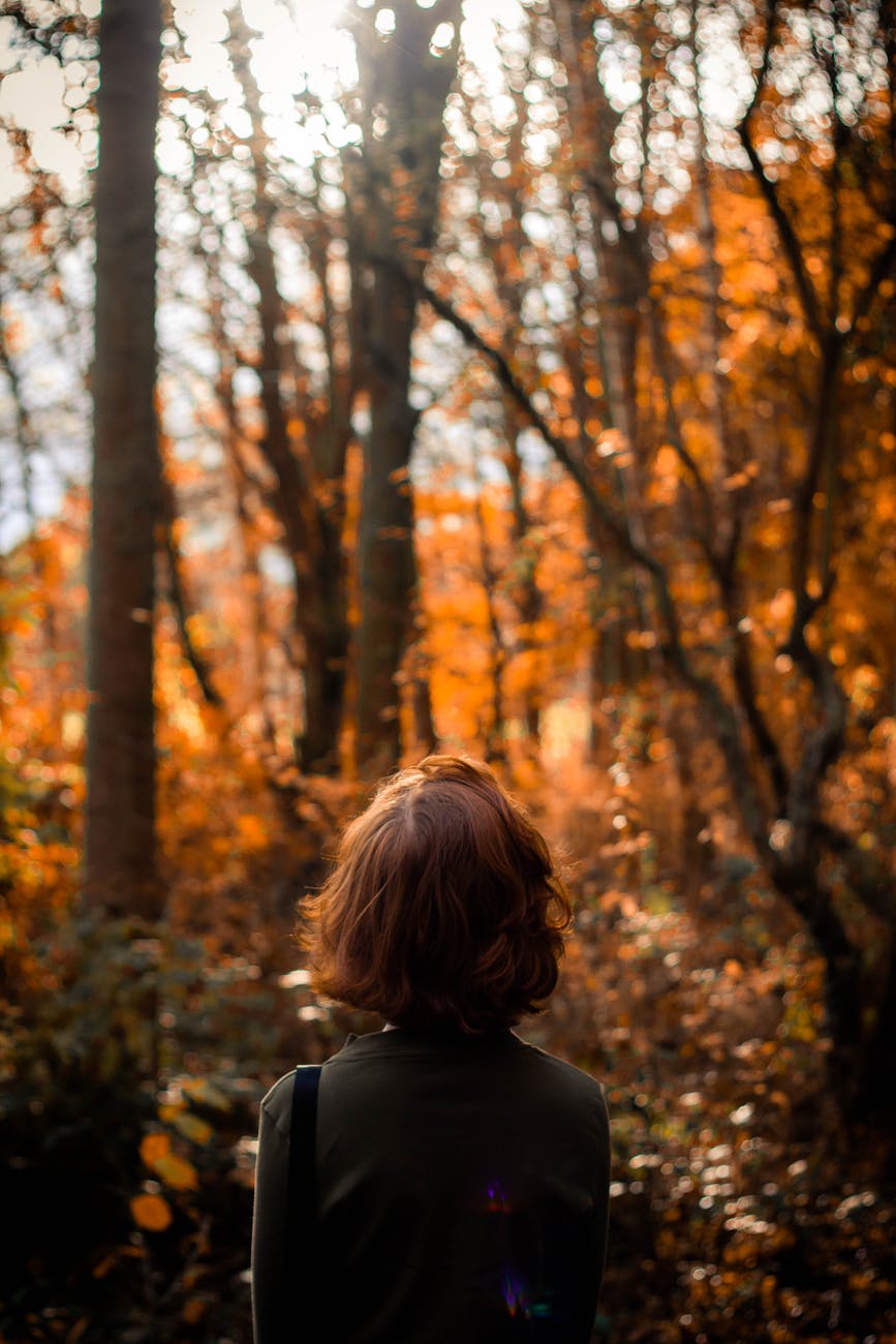 woman standing under trees in the forest